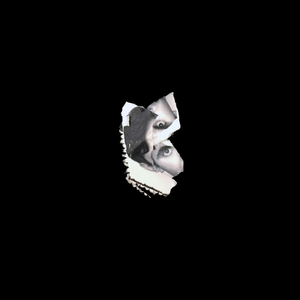 Hidrogenio (Original Mix)