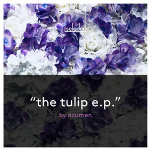Tulip