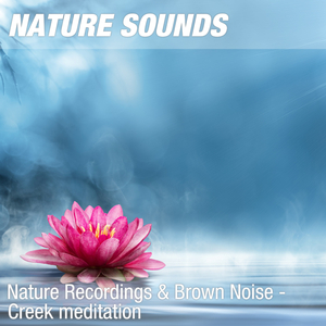 Nature Sounds for Sleep, Relaxation & Zen Yoga (Peaceful creek, brown noise) 02
