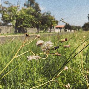 Mkhulu (feat. El Trosso & Myshkin) (Radio Edit)