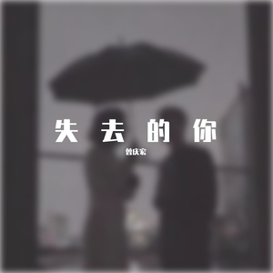 失去的你