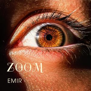 ZOOM