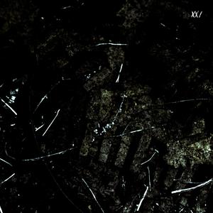 SOMETIMES I HATE MYSELF (feat. waerry, DEADWINTER & CHRYSALIS)