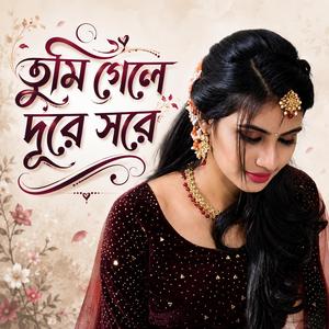 তুমি গেলে দূরে সরে