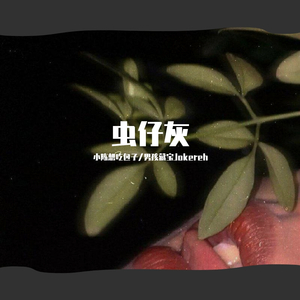 郑伊健-虫仔灰（小陈想吃包子 / 男孩藏宝Jokereh remix）