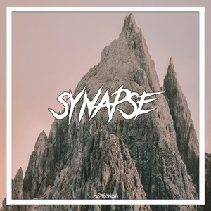 Synapse