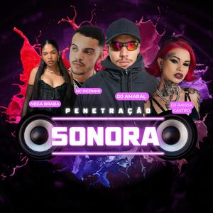 Penetração Sonora (feat. Dj Amaral, Solta A Putaria Porra!)