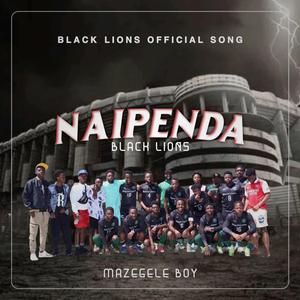 Naipenda black lions