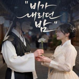 비가 내리던 밤