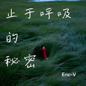 止于呼吸的秘密