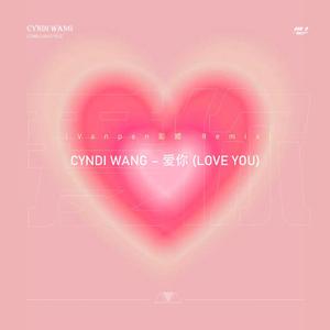 王心凌 爱你 （vanpen彭威Remix）