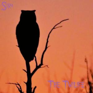 Arrythmia (feat. Kassidy)