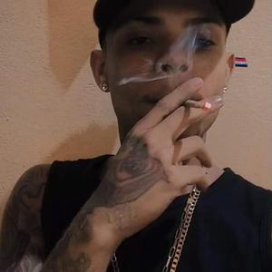 MTG = OQCSENTE / BOLADIN 211 / VERSÃO / DU JARDIM