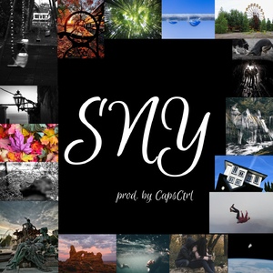 Sny