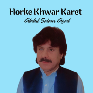 Humse Ha Se