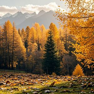 明日歌（古筝曲）