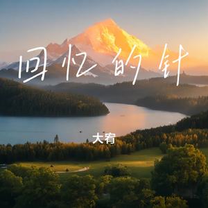 回忆的针