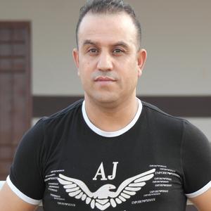 ainik lazer