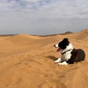 当青春悄然走过