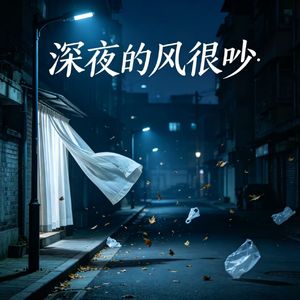深夜的风很吵