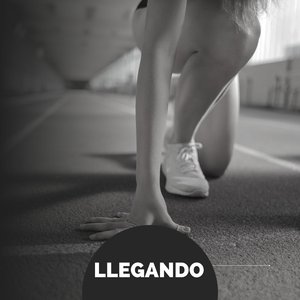 Llegando
