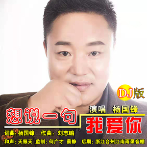 想说一句我爱你 (DJ版伴奏)