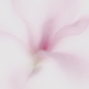 终别离