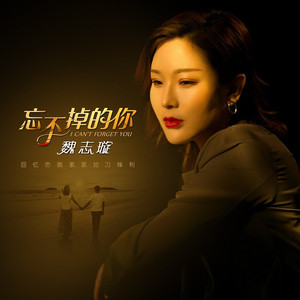 忘不掉的你 (DJ鹏子版)