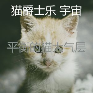 安静的猫在家声音