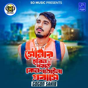 Sonar Horin Dhorte Pathaila Keno Probase