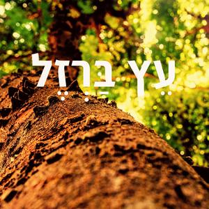 אני ה׳ רופאך