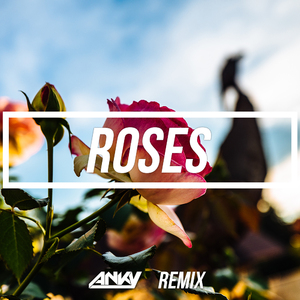 The Chainsmokers - Roses (Anky Remix)