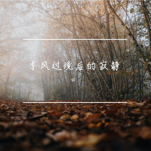 季风过境后的寂静