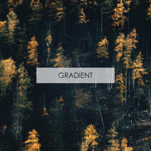 Gradient