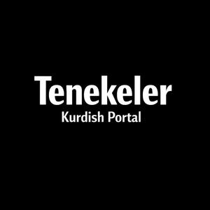 Tenekeler