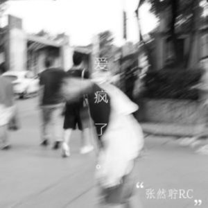林荫路18号爱情