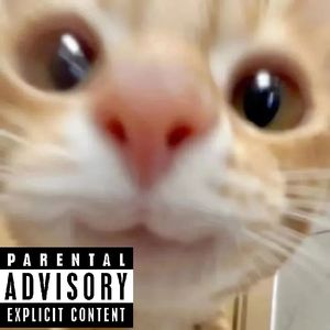 鮇絾姩♂朲白勺呒劦鱤~//(╯﹏╰)