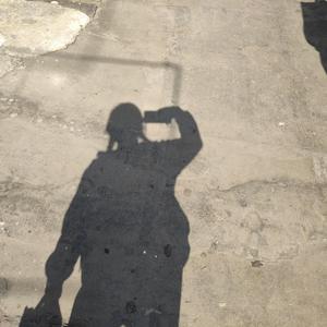 草木（翻自 若以止白）