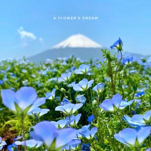 A Flower's Dream