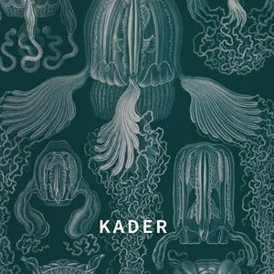 Kader