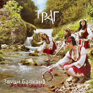 Kreci kume kicane svatove