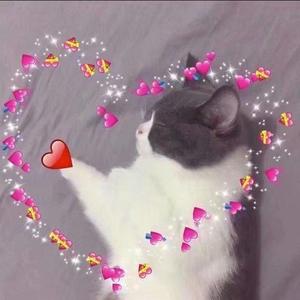 大Q秉洛-心愿便利贴（故里Ableson / 丁球酱 remix）