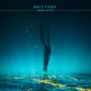 Driftveil