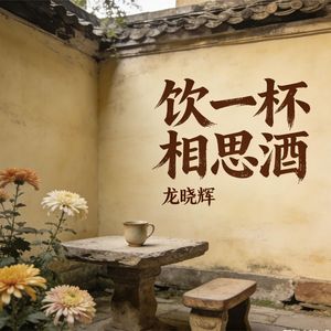 饮一杯相思酒