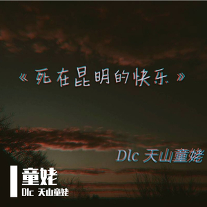 suhmeduh-未接来电（Dlc 天山童姥 Remix）