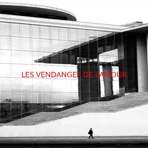 LES VENDANGES DE L'AMOUR (Complete version originally performed by Marie Laforêt)