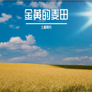 飞翔的梦想 伴奏