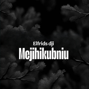 Mejihikubiniu