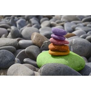 海鸥飞向了远方（热播)