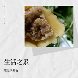 生活之累